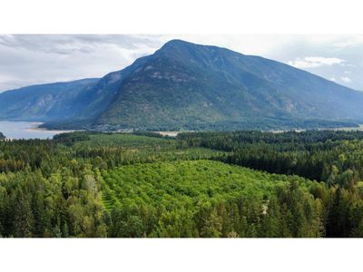 Lots 71-72 Harrison Rd, House other with 1 bedrooms, 1 bathrooms and 2 parking in Nakusp BC | Image 2