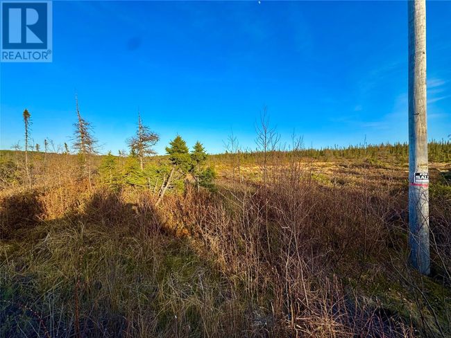 162-182 Riverside Rd E, Home with 0 bedrooms, 0 bathrooms and null parking in Glovertown NL | Image 7