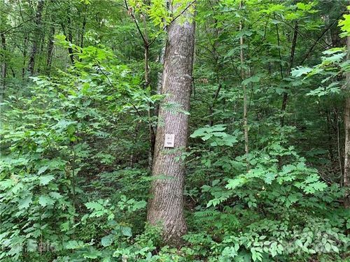 98-0000 Peppervine Circle, Rosman, NC, 28772 | Card Image