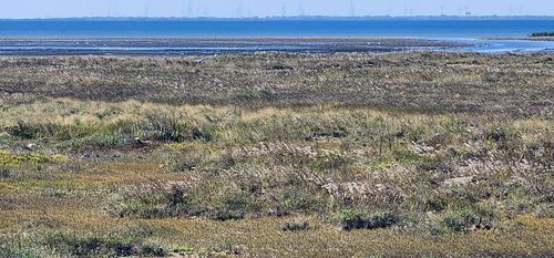 97-Lot 97 Padre Blvd, South Padre Island, TX, 78597 | Card Image