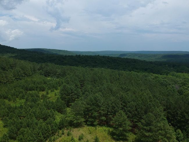 5199 Burkett Chapel Rd, Home with 4 bedrooms, 2 bathrooms and null parking in Whitwell TN | Image 18
