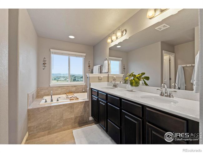 Primary Bathroom has tinted windows to prevent UV Damage, heat and views in during the day | Image 14