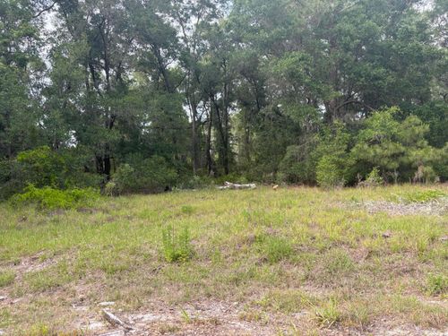Tbd Locust Drive Ct, Ocala, FL, 34472 | Card Image