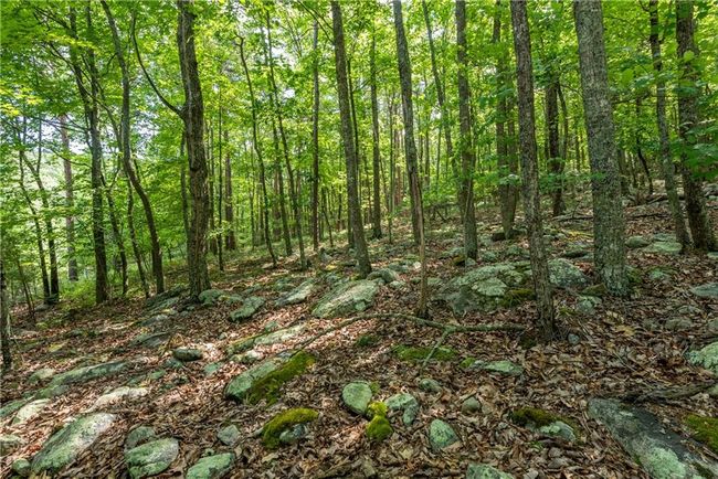 206 Mystic Trail Ln, Home with 0 bedrooms, 0 bathrooms and null parking in Jasper GA | Image 28