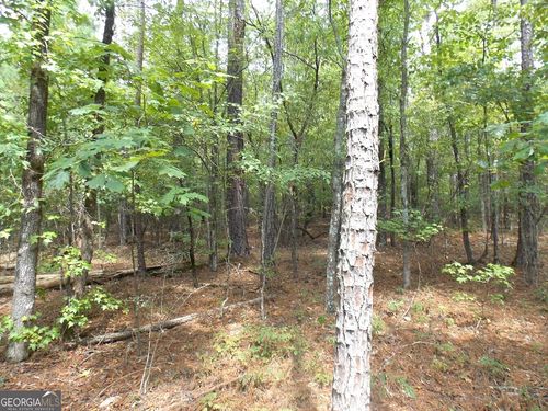 32c-0 Lbk Rd, Tignall, GA, 30668 | Card Image