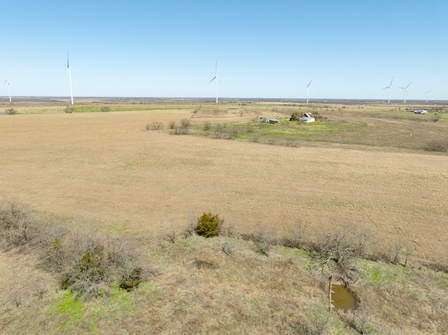 hay land | Image 30