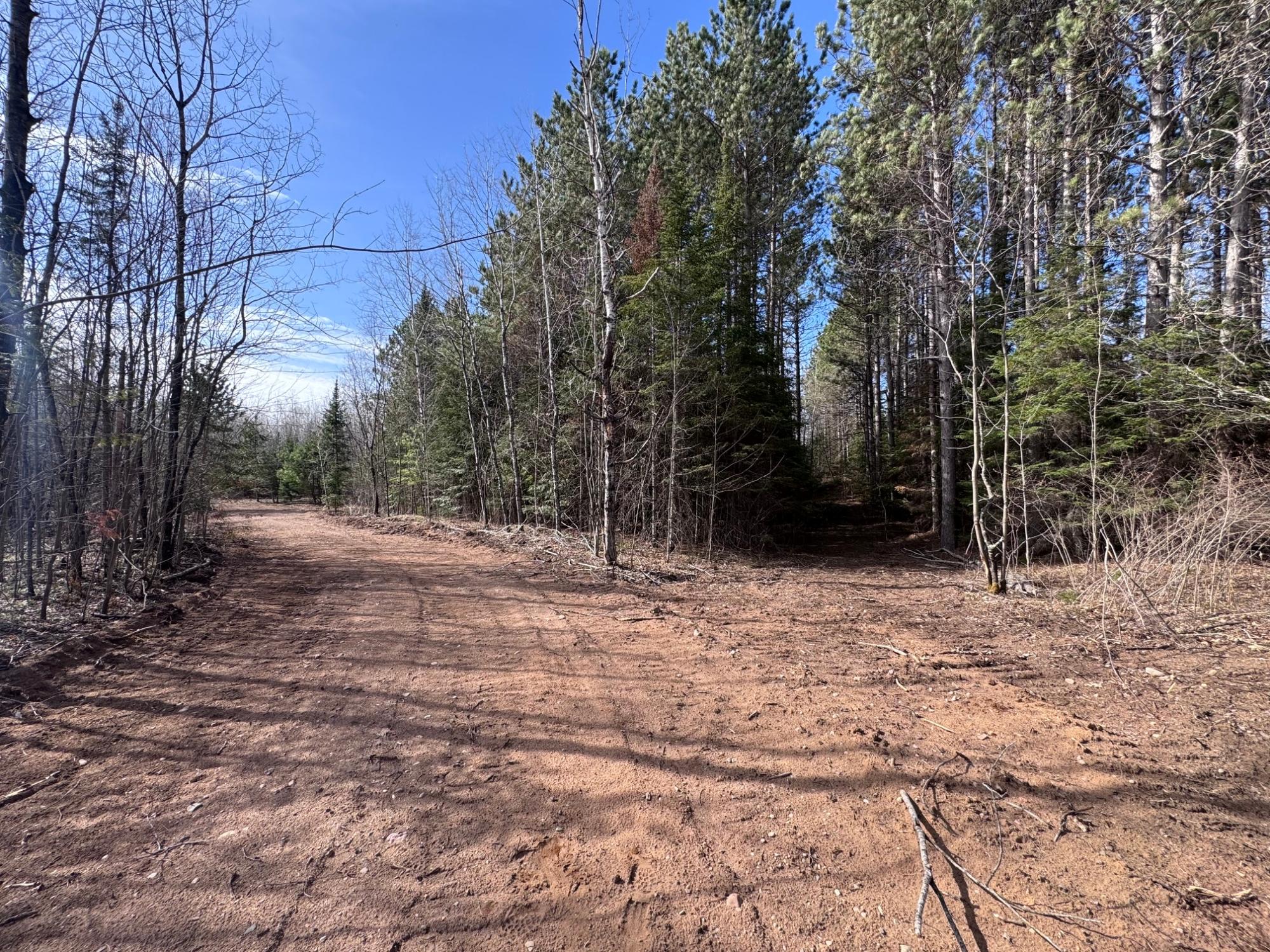 Land in Minocqua 4
