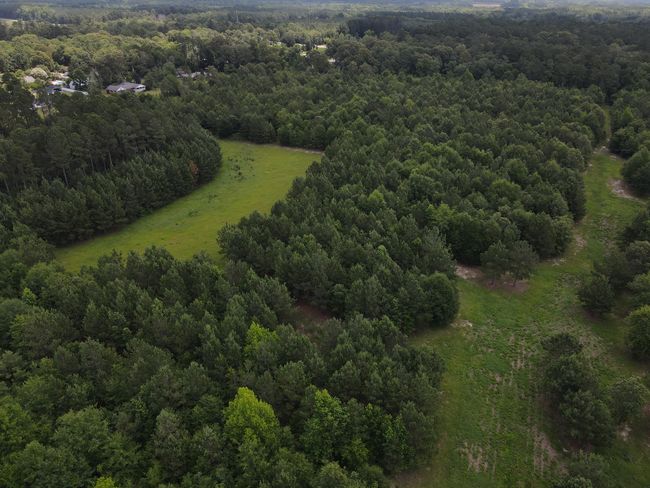 DJI_0525 | Image 6