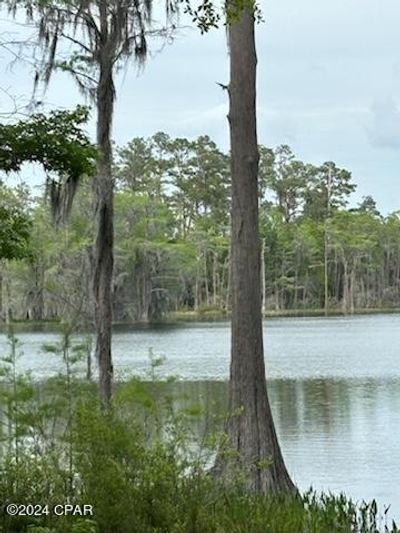 Lot 20 Magnolia Drive, Home with 0 bedrooms, 0 bathrooms and null parking in Chipley FL | Image 2