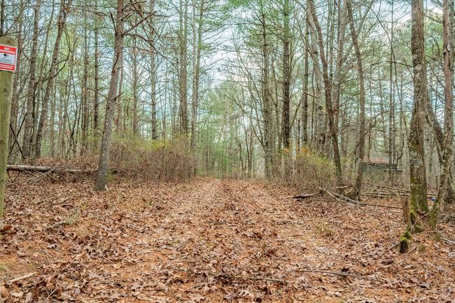 000 Miriam Road, Home with 0 bedrooms, 0 bathrooms and null parking in Dugspur VA | Image 21