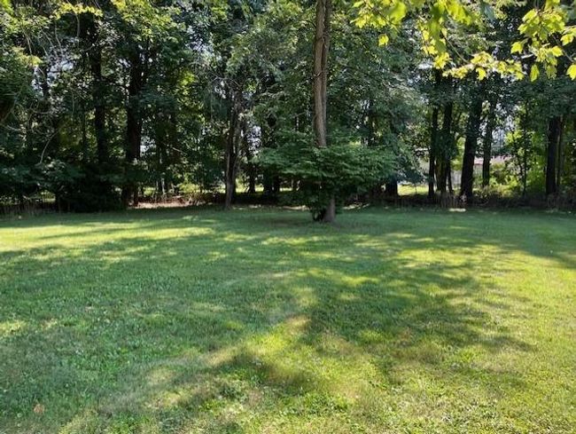 Level backyard | Image 16