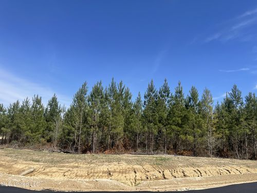 754 Freedom Ring Dr, Brandon, MS, 39047-1814 | Card Image