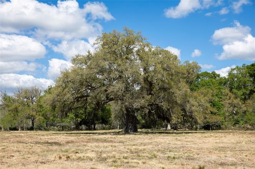 14.5 Acres County Road 802, Brazoria, TX, 77422 | Card Image
