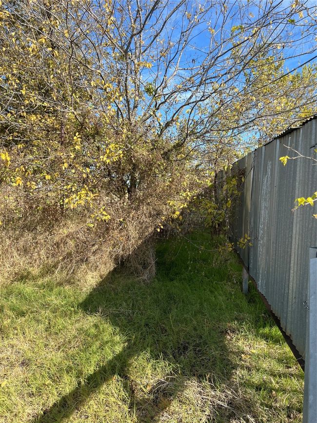 View around livestock covering | Image 15
