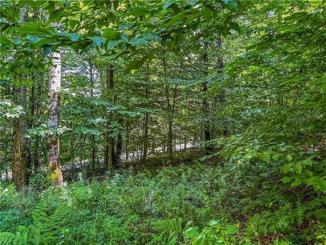 22+ Acres | Image 32