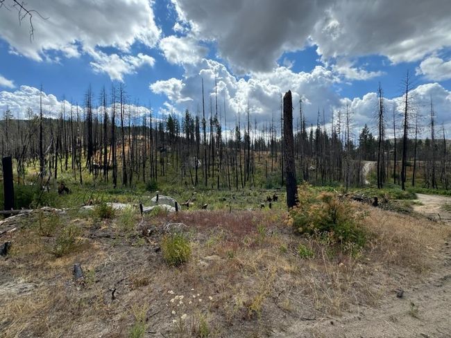5069 J Rail Canyon Rd, Home with 0 bedrooms, 0 bathrooms and null parking in Springdale WA | Image 7