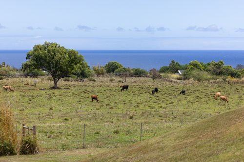 53-4429 Akone Pule Hwy, Kapaau, HI, 96755 | Card Image