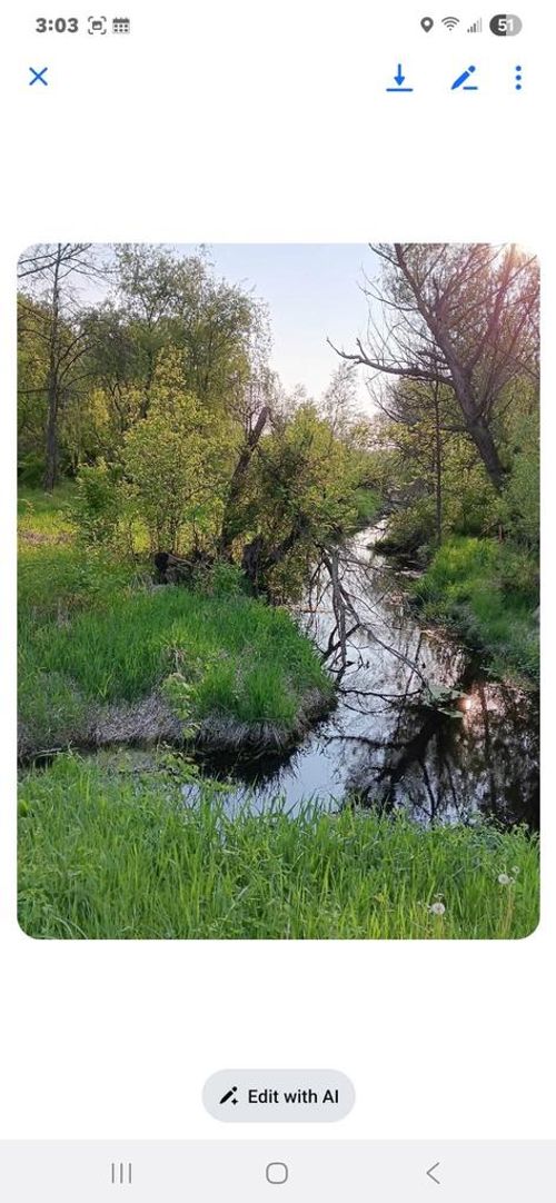 Lot 1 Church St, Montello, WI, 53949-9751 | Card Image