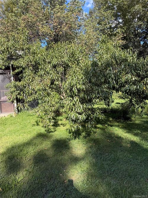 237 Rockefeller Ln, Red Hook, NY, 12571-2132 | Card Image