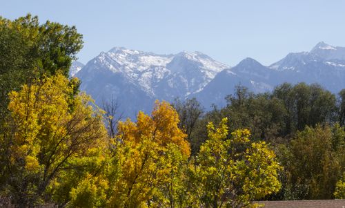 apt-e-5396 S Willow Ln, Murray, UT, 84107-3402 | Card Image