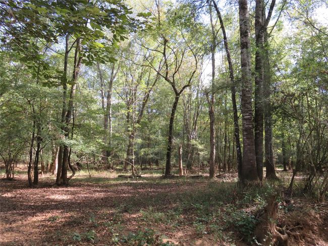 9795 S Us Highway 59, Home with 0 bedrooms, 0 bathrooms and null parking in Nacogdoches TX | Image 10