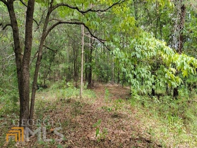 0 E Silver Shoals Rd, Home with 0 bedrooms, 0 bathrooms and null parking in Toccoa GA | Image 8