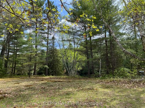 Lot 37 Sandy Shores Trail, Barry's Bay, ON, K0J | Card Image