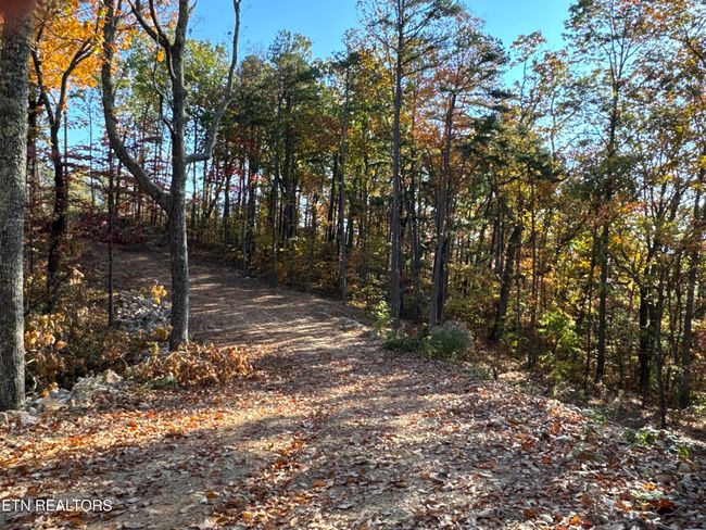 0 Mountain Ash Way, Home with 0 bedrooms, 0 bathrooms and null parking in Sevierville TN | Image 9