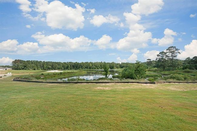 42415 Pearl Trace Ln, House other with 4 bedrooms, 3 bathrooms and 2 parking in Magnolia TX | Image 12