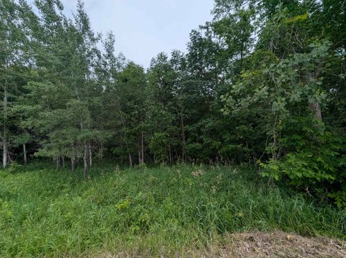 N/A Shenfield Rd, Turner, MI, 48765 | Card Image