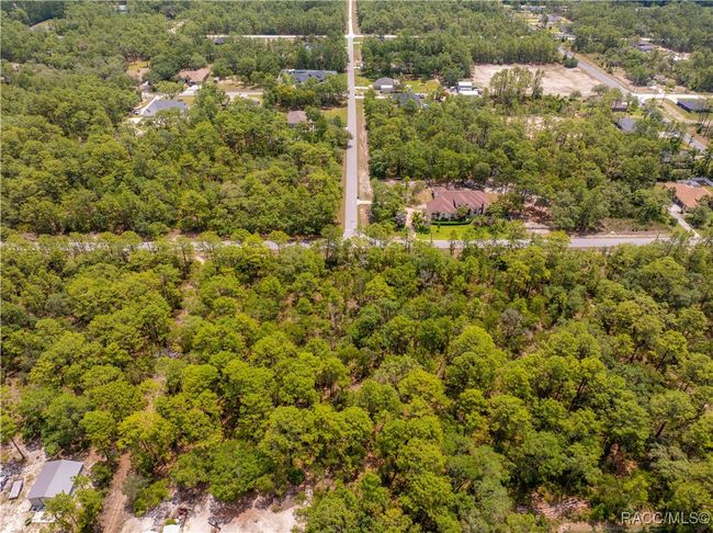 16240 Mount Sparrow Rd, Home with 0 bedrooms, 0 bathrooms and null parking in Weeki Wachee FL | Image 6