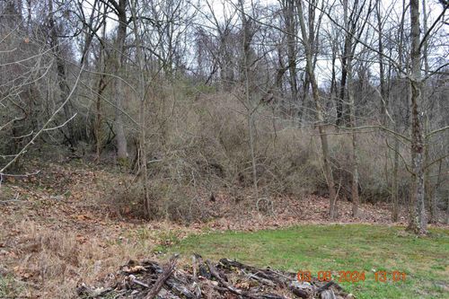 Lot 48 Poplar St, Jane Lew, WV, 26378 | Card Image