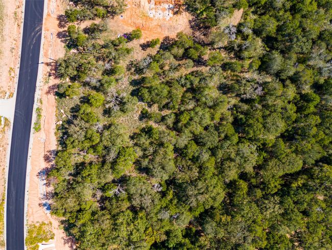 Drone / aerial view | Image 10