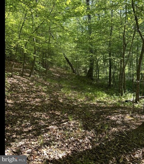 LOT 3 TM: 35-3-3 Longfield Rd., King George, VA, 22485 | Card Image