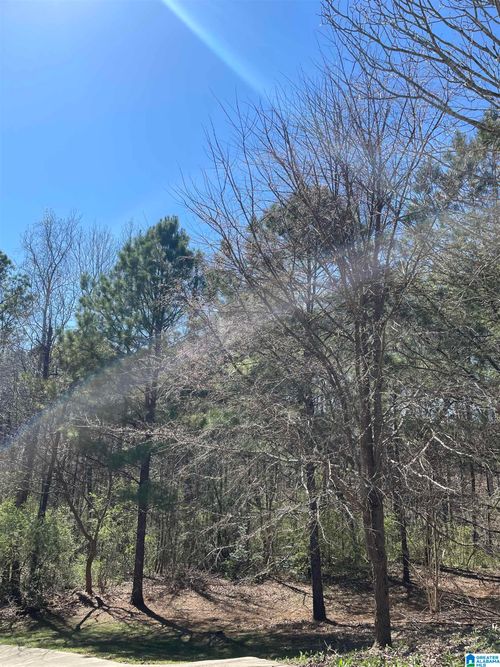 1-70 Singapore Cir, BIRMINGHAM, AL, 35211 | Card Image