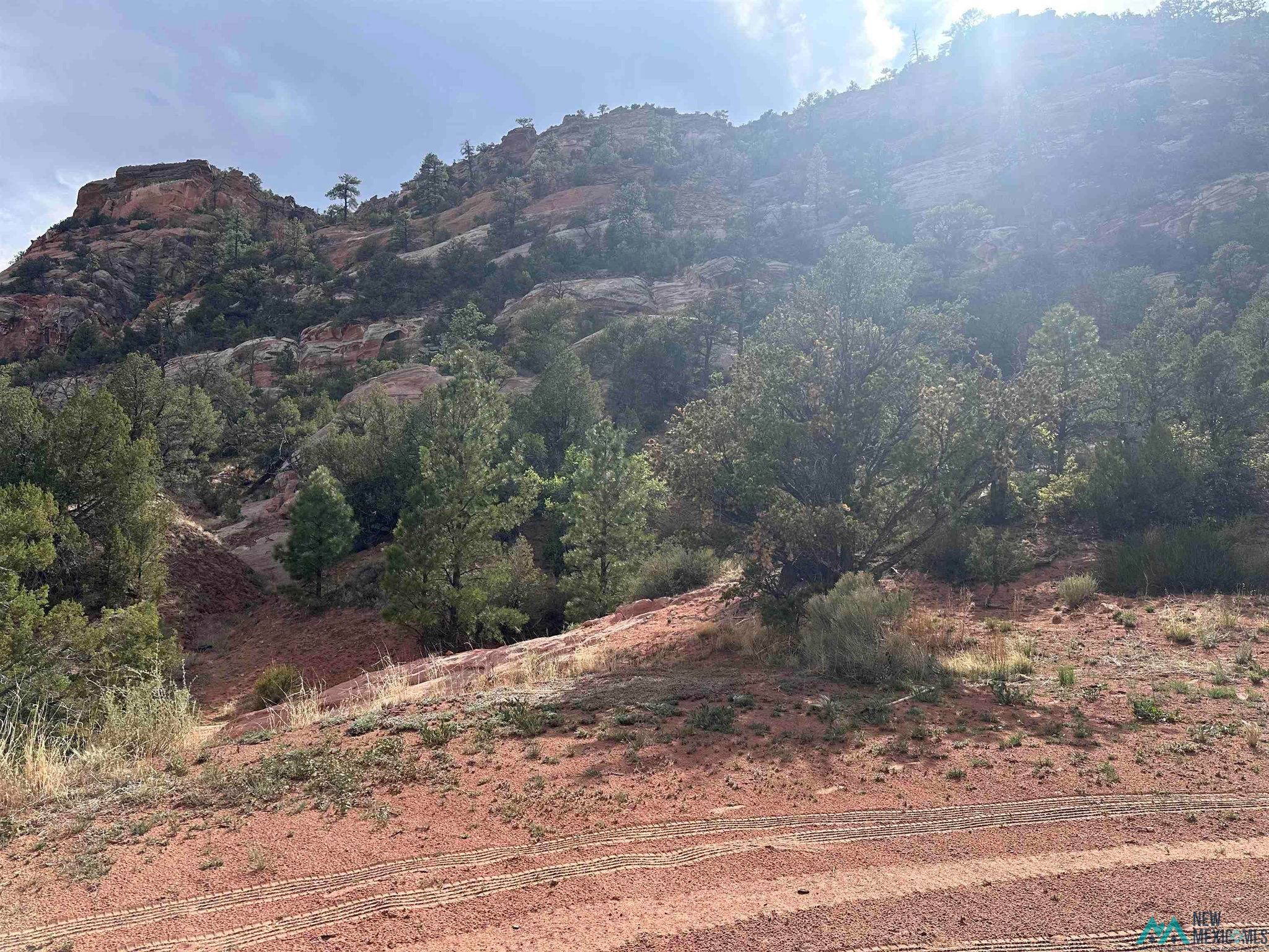Land in Ramah