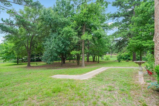 View of grassy yard | Image 36