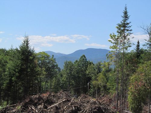 929 Center Hill Road Road, Weld, ME, 04285 | Card Image