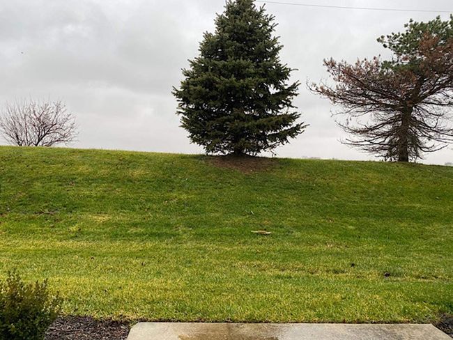 3049 Creekside Dr, Townhouse with 3 bedrooms, 3 bathrooms and 2 parking in Plainfield IL | Image 16