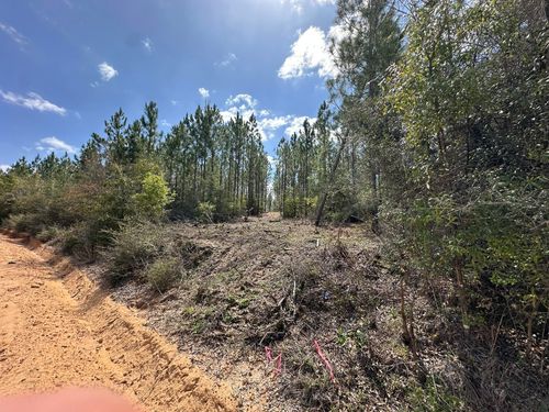 south-3-Tract#6418 Mattox Springs Rd, Caryville, FL, 32427 | Card Image