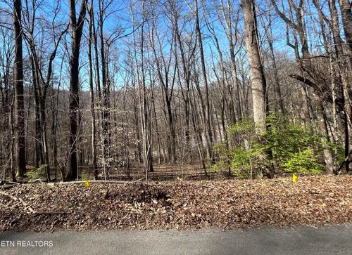 206 Cumberland View Ests, Rocky Top, TN, 37769-6136 | Card Image