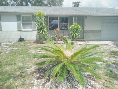 3118 Palm Court, House other with 3 bedrooms, 2 bathrooms and null parking in Dunedin FL | Image 2