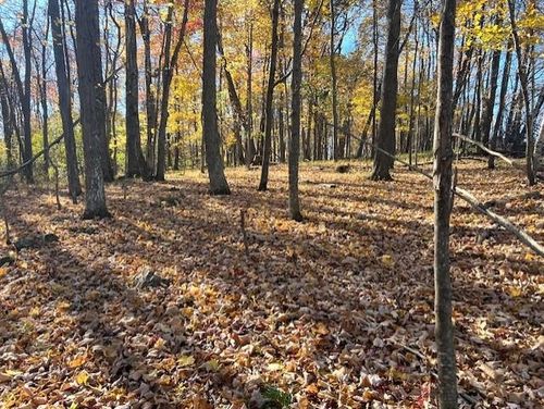 32.18 acres Monarch Avenue, WELLINGTON, WI, 54638 | Card Image