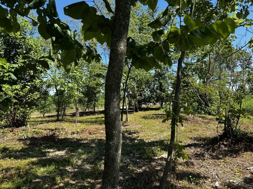 tract-5-at-huston-hills-34598 Huston Rd, Radcliff, OH, 45695 | Card Image