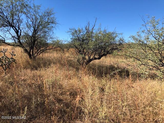 Land in Rio Rico