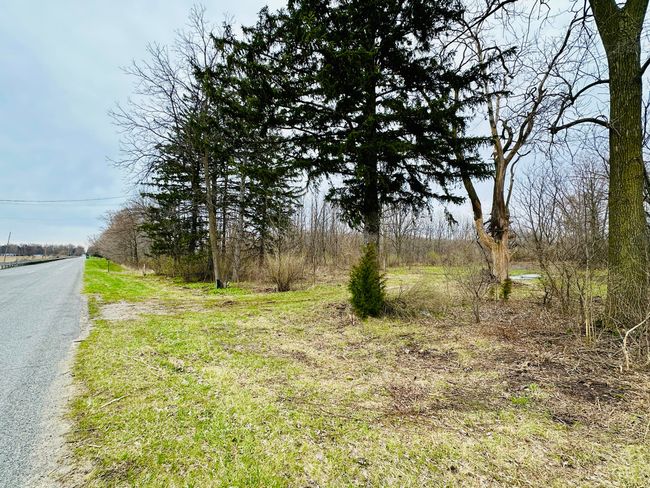 street view to the north | Image 5