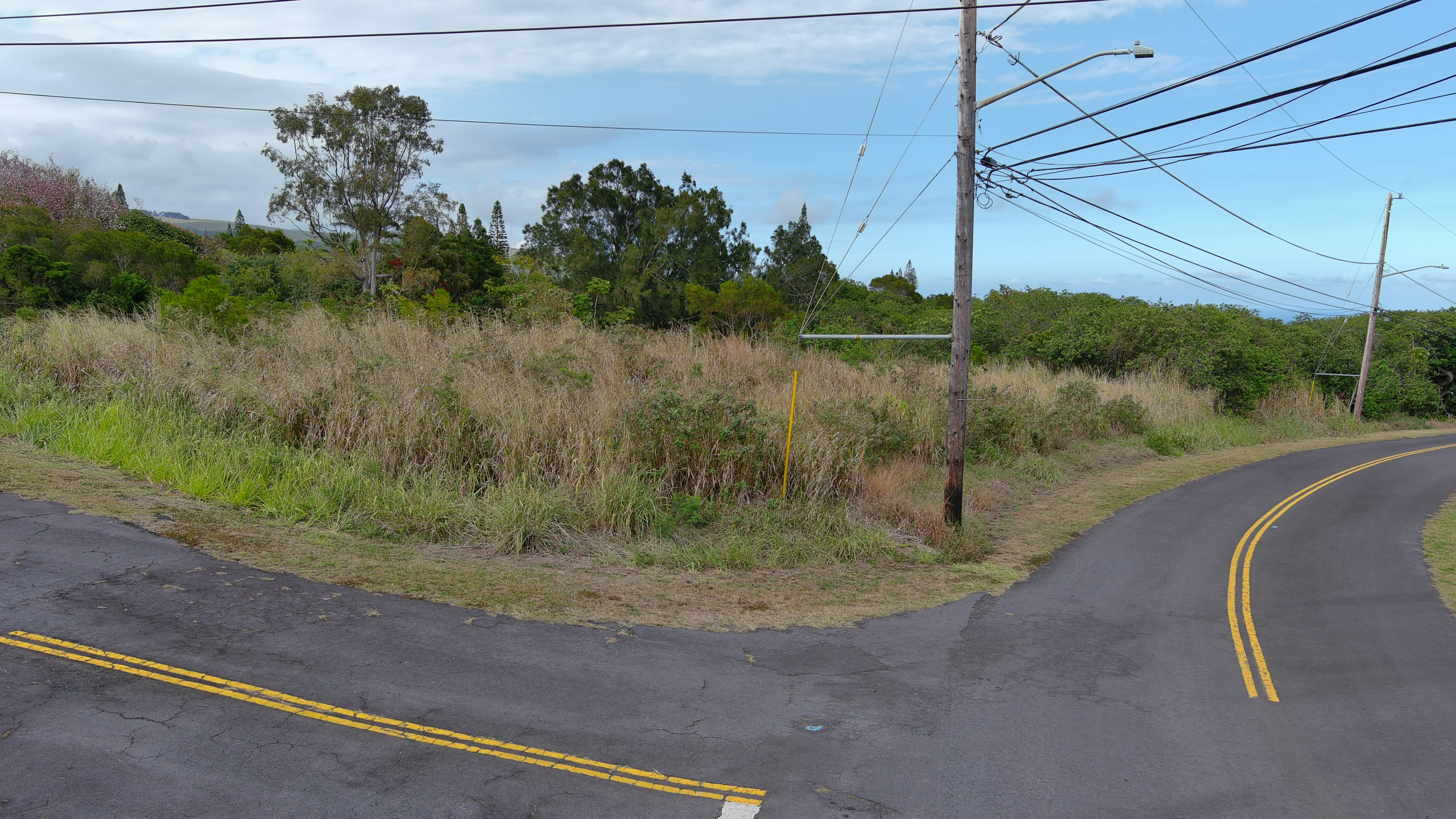 Land in Naalehu 2