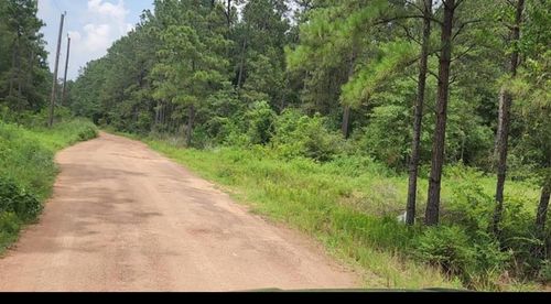 13 Scarlet Oak, Plantersville, TX, 77363 | Card Image