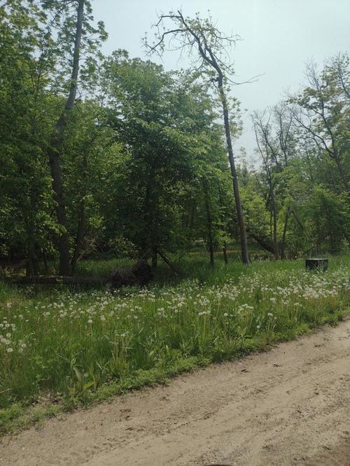 Lot 2 Block 3 Crystal Beach Road, Pelican Rapids, MN, 56572 | Card Image