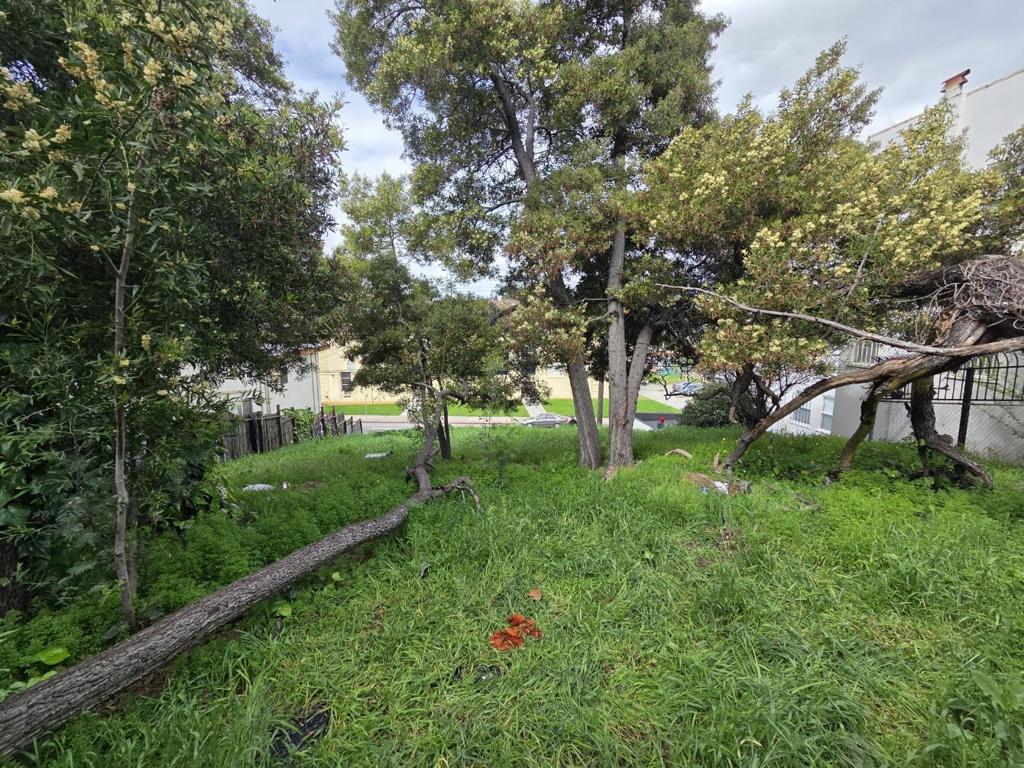 Land in Oakland 4
